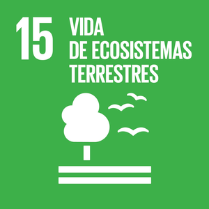 ODS 15 - Ecosistemas terrestres